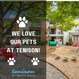 Unleash the Fun at Tenison!